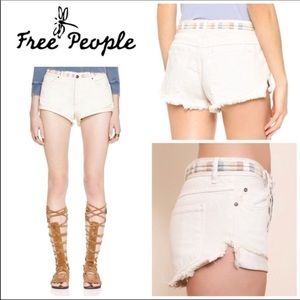 Free People Eliot Embroidered Short  Sz 30